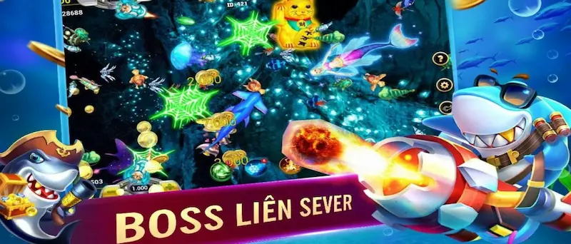 Bạn cần nhận biết lúc đủ sức săn cá boss