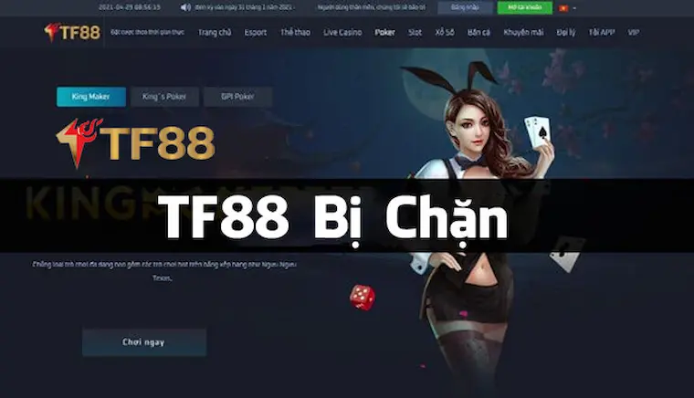 Tại Sao Link Vào TF88 Bị Chặn?